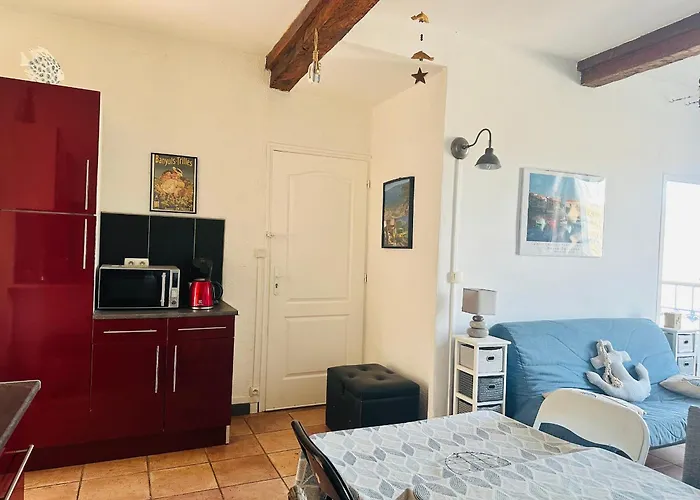 T2 Méditerranéen à Deux Pas Des Quais – Port-vendres - Fr-1-309-436 Appartamento *